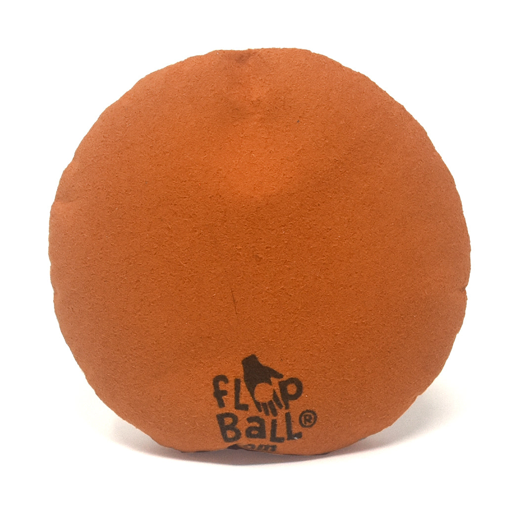 FlopBall.com - Color-In Daisy