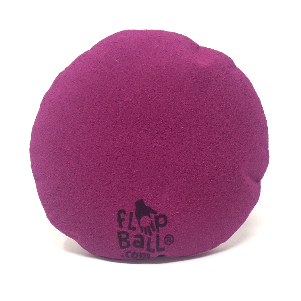 FlopBall.com - Color-In Rose