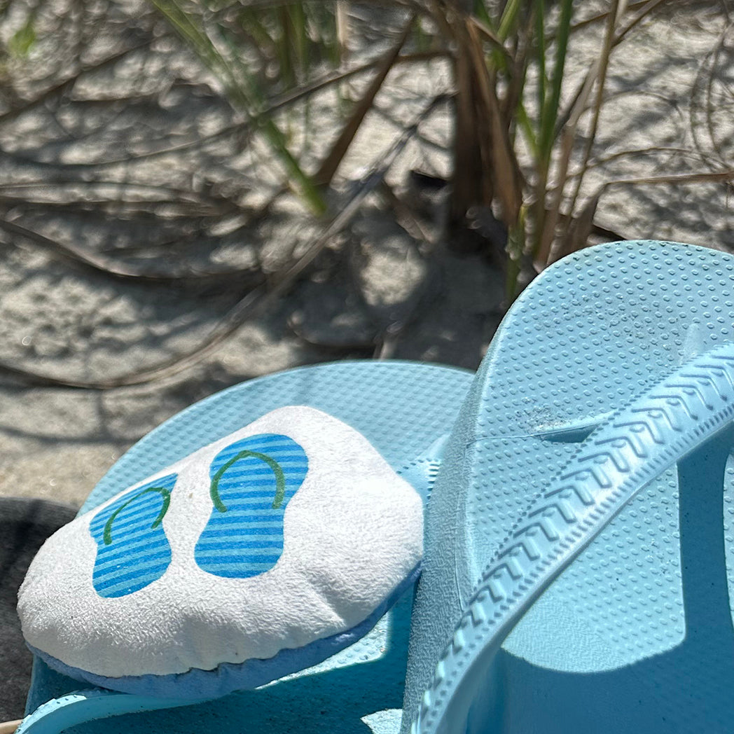 Flip Flops